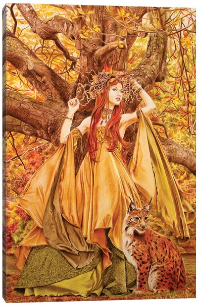Autumn Fairy Canvas Art Print - Fiona Francois