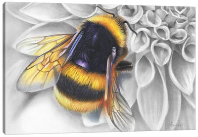 Mumma Buzz Canvas Art Print - Bee Art