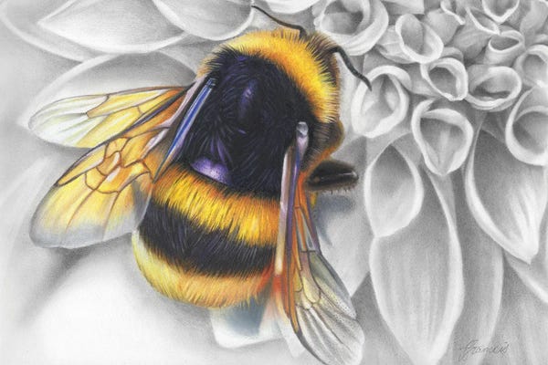 Bees: Mumma Buzz by Fiona Francois