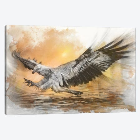 White-Bellied Sea Eagle Canvas Print #FIF38} by Fiona Francois Canvas Wall Art