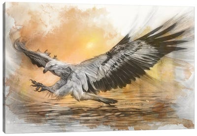White-Bellied Sea Eagle Canvas Art Print - Black, White & Yellow Art