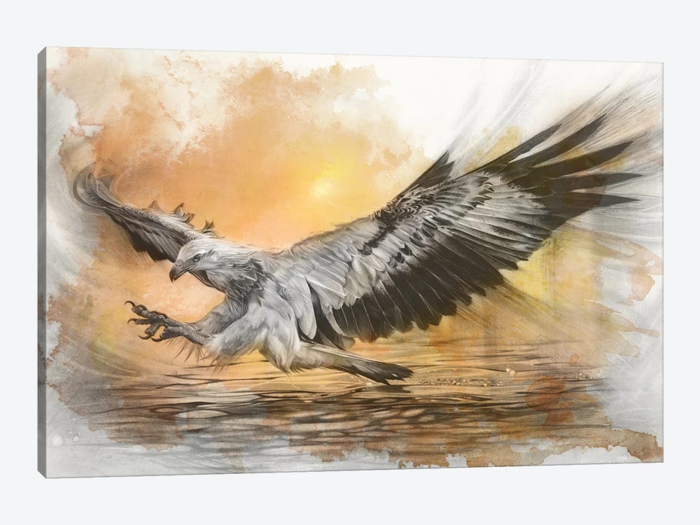 White-Bellied Sea Eagle by Fiona Francois 1-piece Canvas Artwork