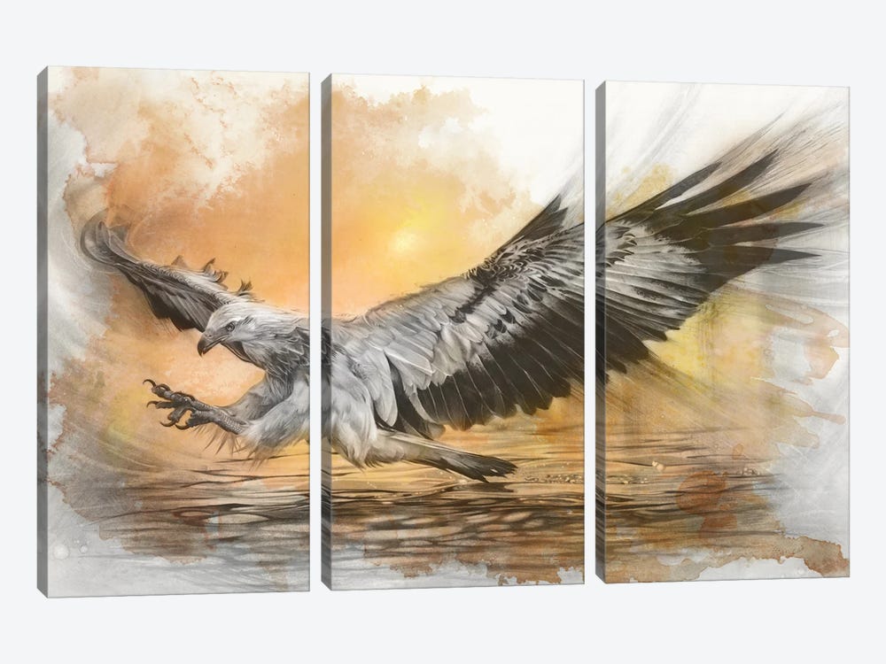 White-Bellied Sea Eagle by Fiona Francois 3-piece Canvas Artwork