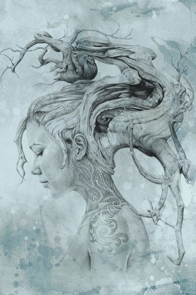 Wild Spirit: Contemplation Blue by Fiona Francois