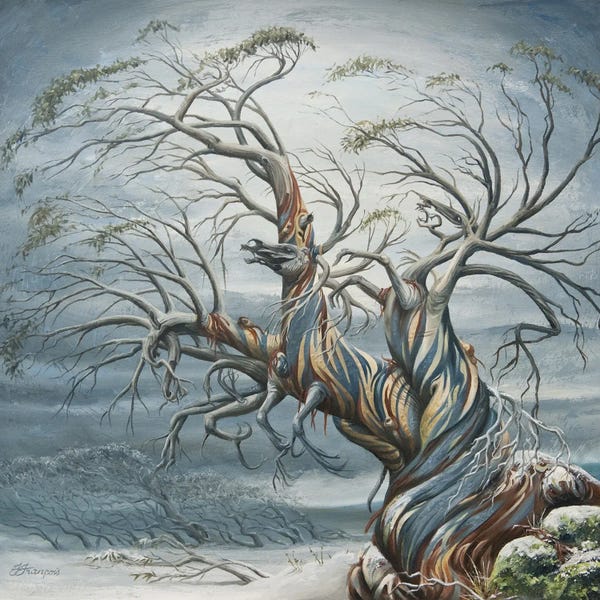 Black & White & Blue: Dead Horse Gap by Fiona Francois