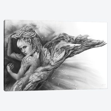 Driftwood Angel Canvas Print #FIF5} by Fiona Francois Canvas Print