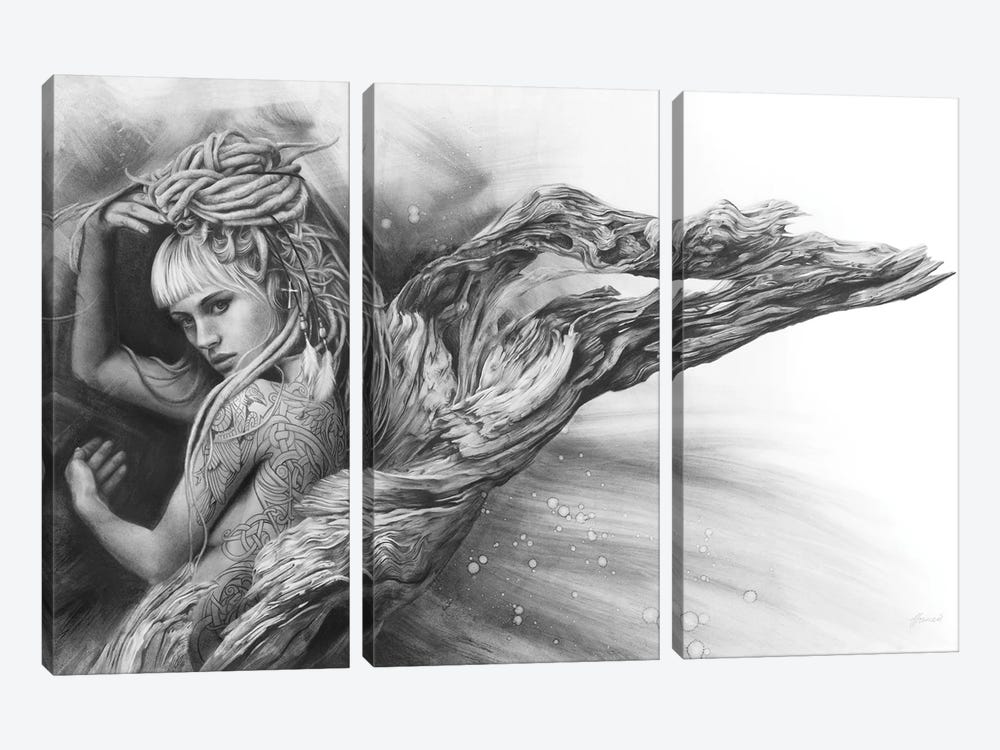 Driftwood Angel by Fiona Francois 3-piece Canvas Artwork