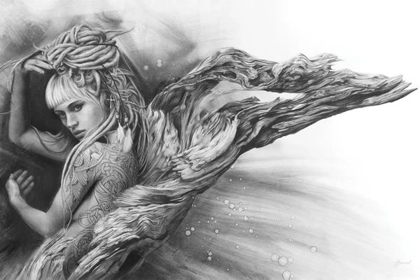 Black & White Florals: Driftwood Angel by Fiona Francois