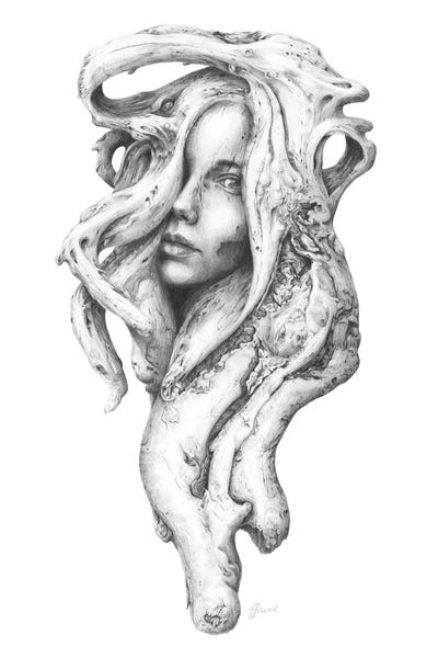 Black & White Florals: Driftwood Souls I by Fiona Francois
