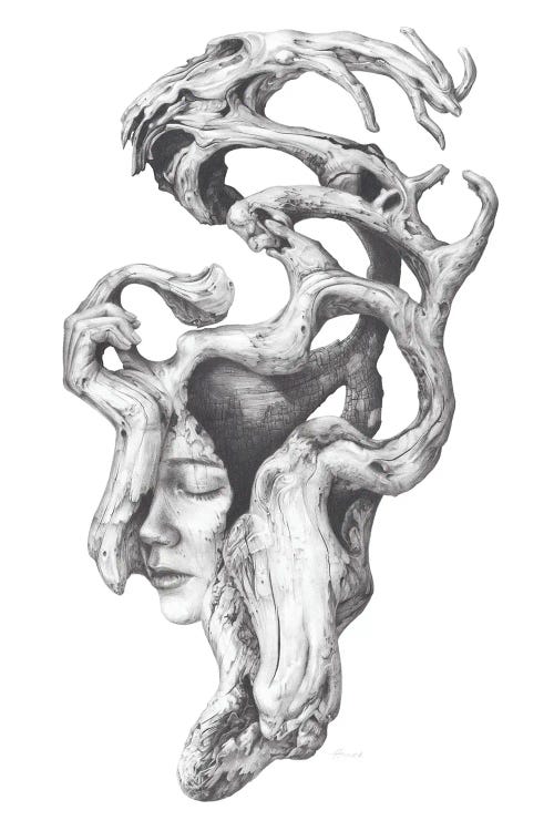 Driftwood Souls II by Fiona Francois wall art