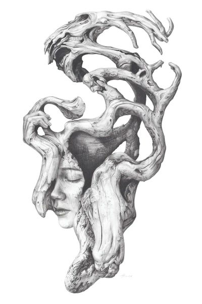 Black & White Drawings & Illustrations: Driftwood Souls II by Fiona Francois