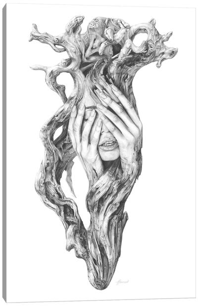 Driftwood Souls III Canvas Art Print - Hyper-Realistic & Detailed Drawings