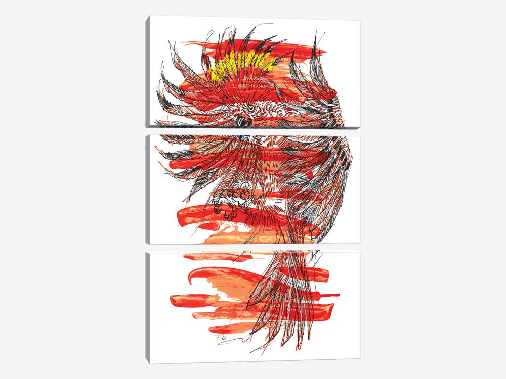 Aves by Frank Banda 3-piece Art Print