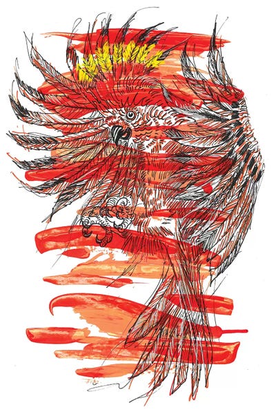 Frank Banda: Aves by Frank Banda