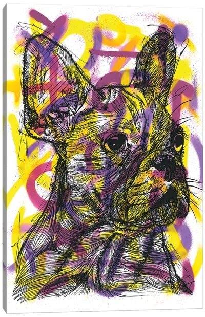 Bulldog Francés (French Bulldog) Canvas Art Print - Frank Banda