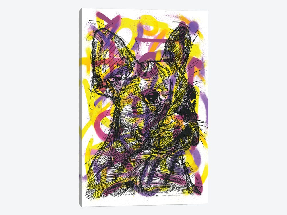 Bulldog Francés (French Bulldog) by Frank Banda 1-piece Canvas Art Print