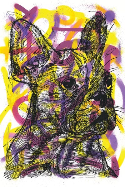 Frank Banda: Bulldog Francés (French Bulldog) by Frank Banda