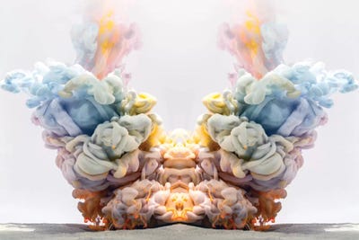 Butterfly Underwater by Frank Banda art print