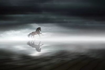 En Medio de la Nada by Frank Banda framed canvas print