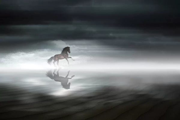 Frank Banda: En Medio de la Nada by Frank Banda