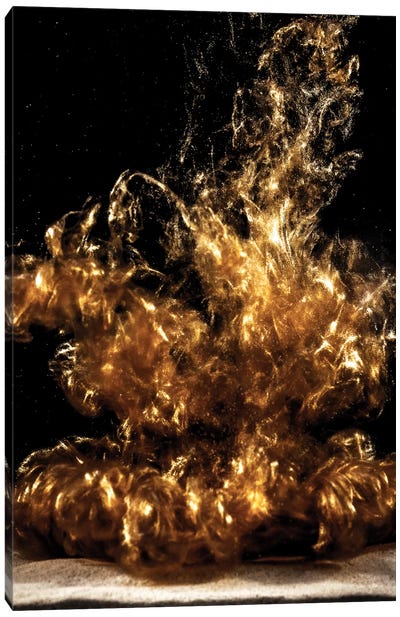 Erupción Solar (Solar Flare) II Canvas Art Print - Abstract Photography