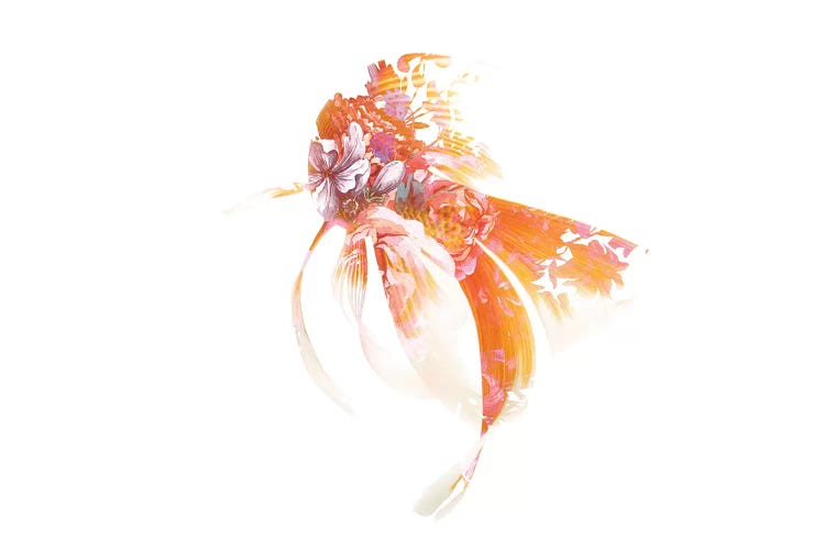 Koi I by Frank Banda wall art