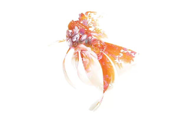 Frank Banda: Koi I by Frank Banda