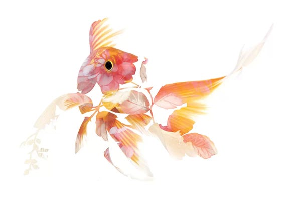 Frank Banda: Koi II by Frank Banda