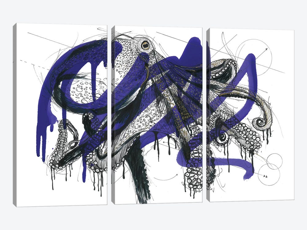 Octopus Reef by Frank Banda 3-piece Canvas Print