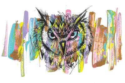 Owl by Frank Banda canvas print