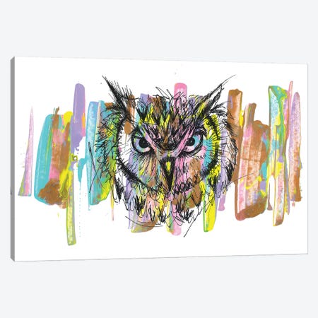 Owl Canvas Print #FJB138} by Frank Banda Canvas Wall Art