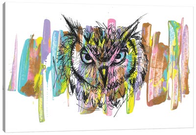 Owl Canvas Art Print - Frank Banda