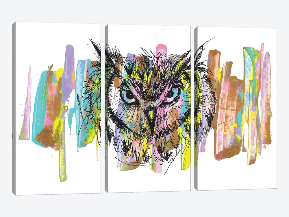 Owl by Frank Banda 3-piece Canvas Art Print