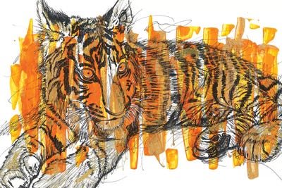 Tigre by Frank Banda art print