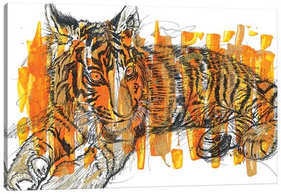 Tigre Canvas Art Print - Tiger Art