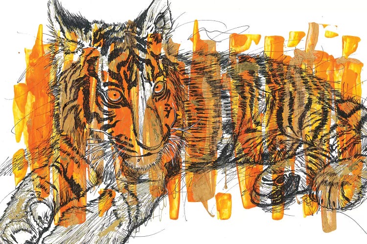 Tigre by Frank Banda wall art