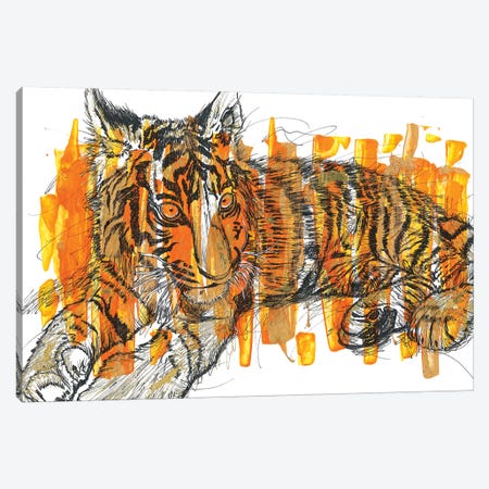 Tigre Canvas Print #FJB141} by Frank Banda Canvas Art Print