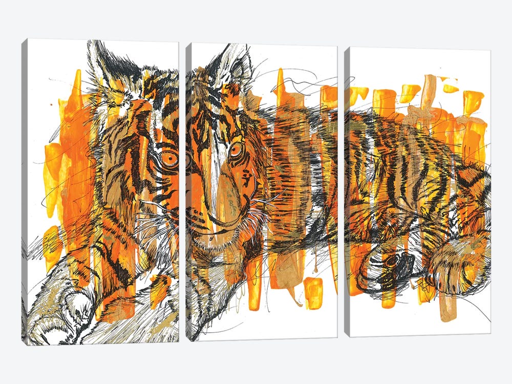 Tigre by Frank Banda 3-piece Canvas Art Print