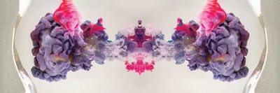 Aquaviva Purple II by Frank Banda canvas print