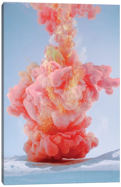 Corallo Brillante Canvas Art Print - Pantone Living Coral 2019
