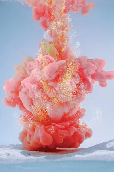 Frank Banda: Corallo Brillante by Frank Banda