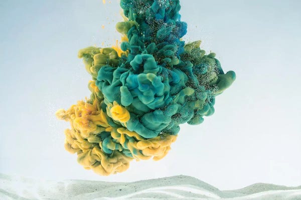 Frank Banda: Dream Hunter by Frank Banda