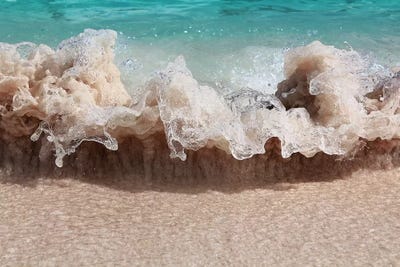 Freeze by Frank Banda art print