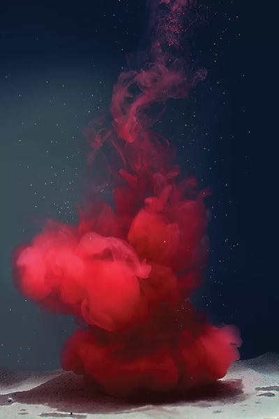 Medusa Rossa by Frank Banda canvas print