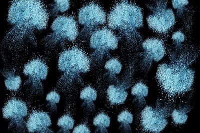 Medusas de Arena by Frank Banda canvas print