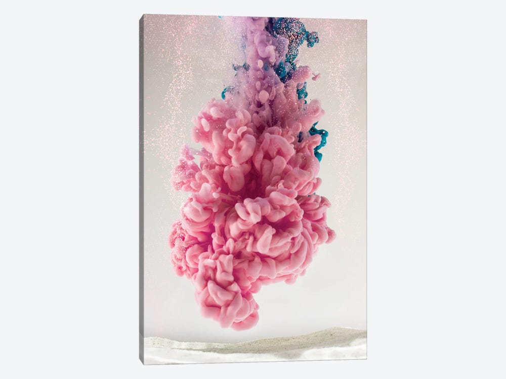 Pink Coral by Frank Banda 1-piece Art Print