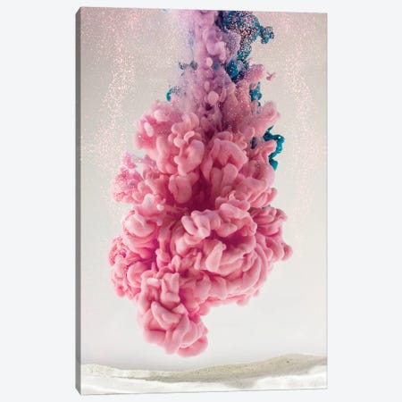 Pink Coral Canvas Print #FJB78} by Frank Banda Canvas Art