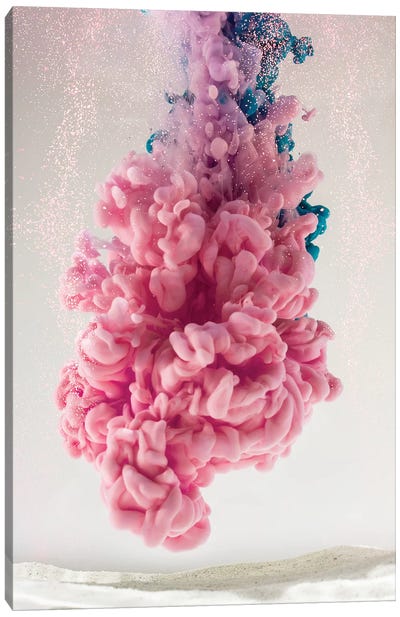 Pink Coral Canvas Art Print - Black & Pink Art