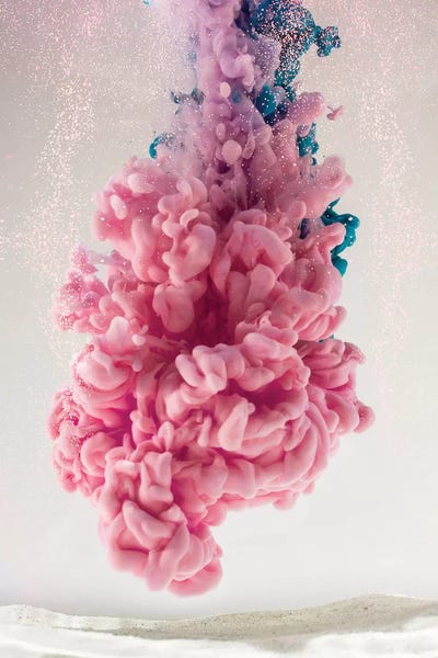 Frank Banda: Pink Coral by Frank Banda