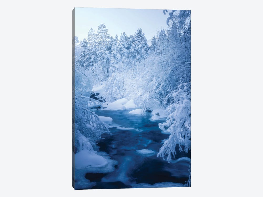 Cold Forest by Fredrik Strømme 1-piece Canvas Art Print